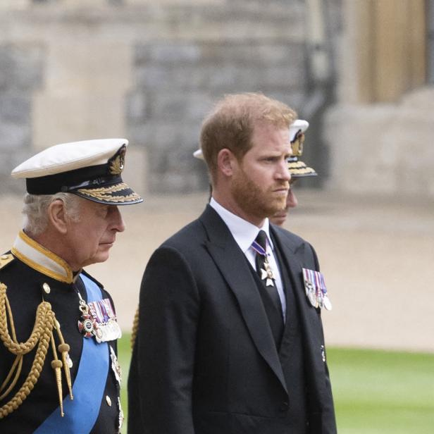 König Charles und Prinz Harry bei einer Veranstaltung.
