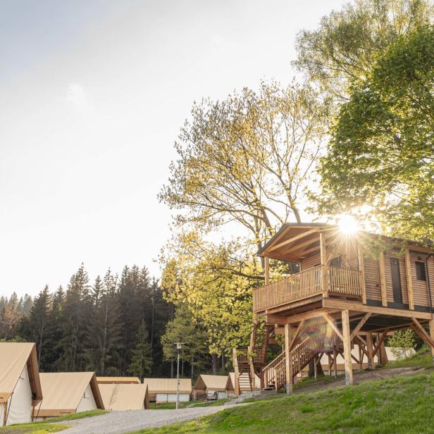 Ein Campingplatz mit Zelten und einem hölzernen Baumhaus im Grünen.