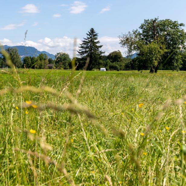 Am Boden bleiben: Warum sich der Blick nach unten lohnt