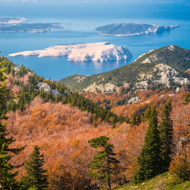 Blick von einem bewaldeten Hügel auf das Meer und die Insel Pag, Kroatien.