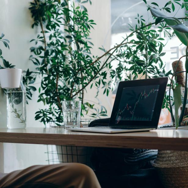 Nachhaltig investieren: 5 Tipps, worauf Sie achten sollten