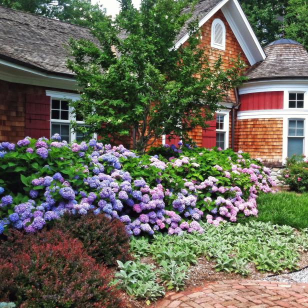 Ein Haus mit roten Holzschindeln und einem Garten voller Hortensien.