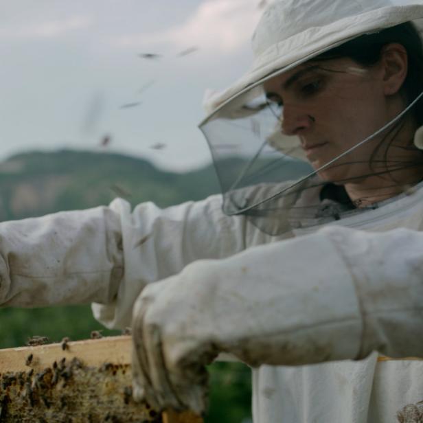 Eine Imkerin untersucht eine Bienenwabe, geschützt durch einen Schleier und Handschuhe.