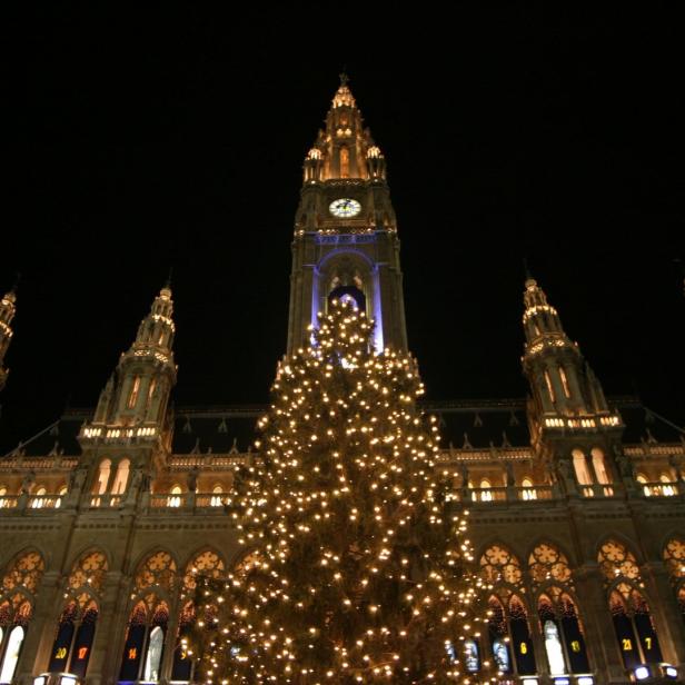 Ein Weihnachtsbaum vor dem Wiener Rathaus in Österreich.