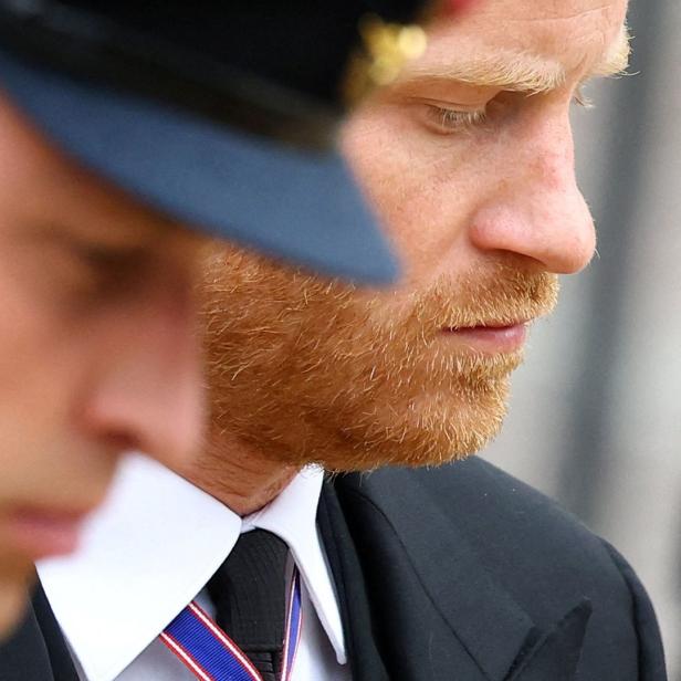 Prinz William und Prinz Harry bei einer Veranstaltung.