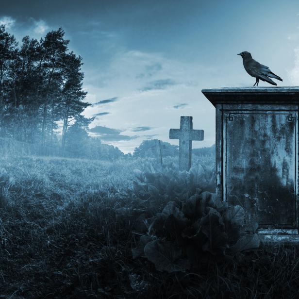 Ein Rabe sitzt auf einem Grabstein auf einem Friedhof im Mondschein.