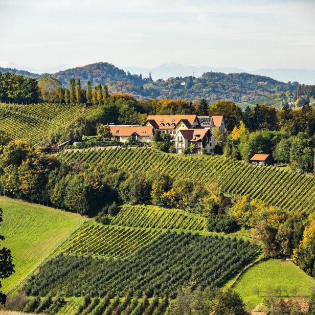 Hügelige Landschaft mit Weinbergen und einem Bauernhaus mit roten Dächern.