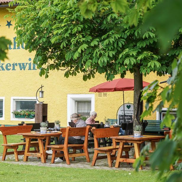 Gäste sitzen im Garten des Gasthofs „Löckerwirt“ unter einem Kastanienbaum.