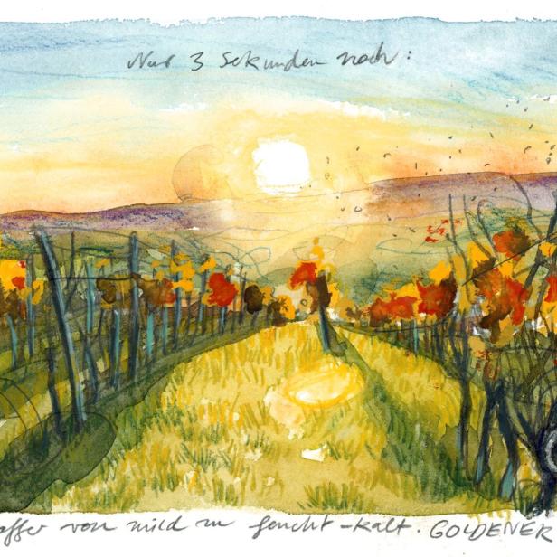 Eine Aquarellmalerei eines Weinbergs im goldenen November bei Sonnenuntergang.