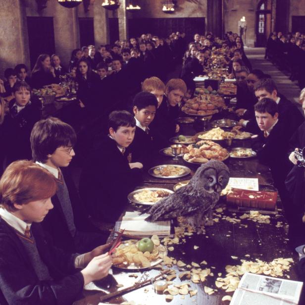 In der Großen Halle von Hogwarts sitzt eine Eule inmitten von Schülern an einem langen Tisch voller Speisen.