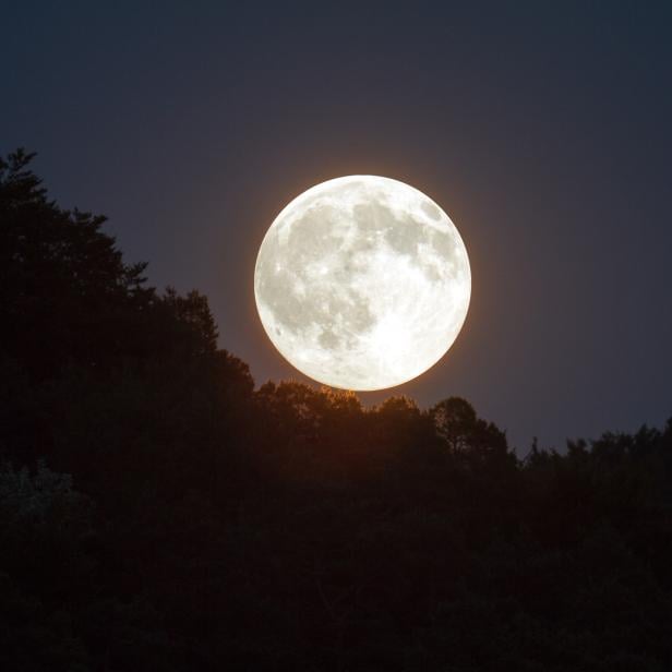 Vollmond am 15. November 2024: Was bedeutet der Stier-Mond?