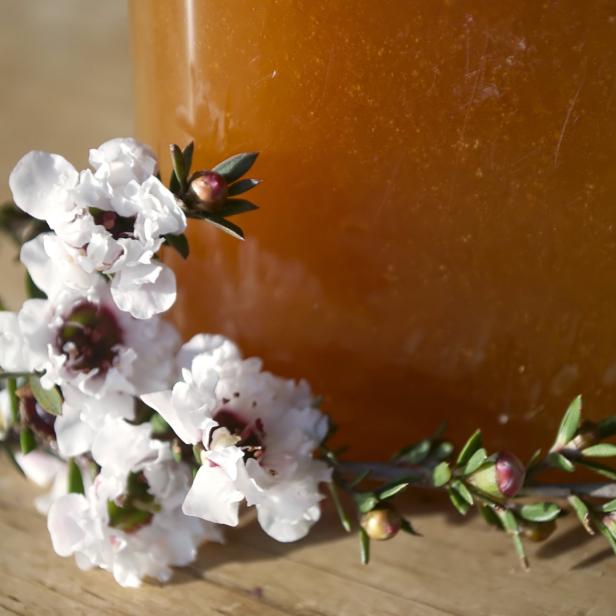 Ein Zweig mit weißen Blüten liegt vor einem Glas mit orangefarbener Flüssigkeit.