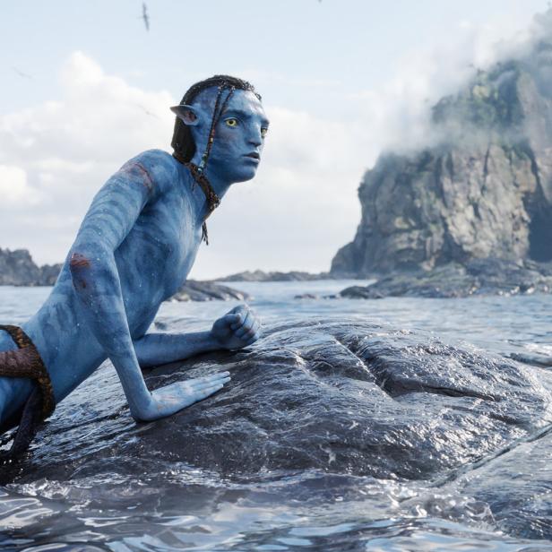 Ein Na'vi-Charakter liegt auf einem Felsen im Wasser, im Hintergrund eine felsige Küstenlinie.