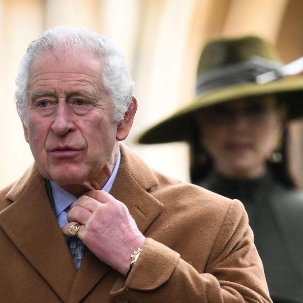 König Charles III. trägt einen braunen Mantel.