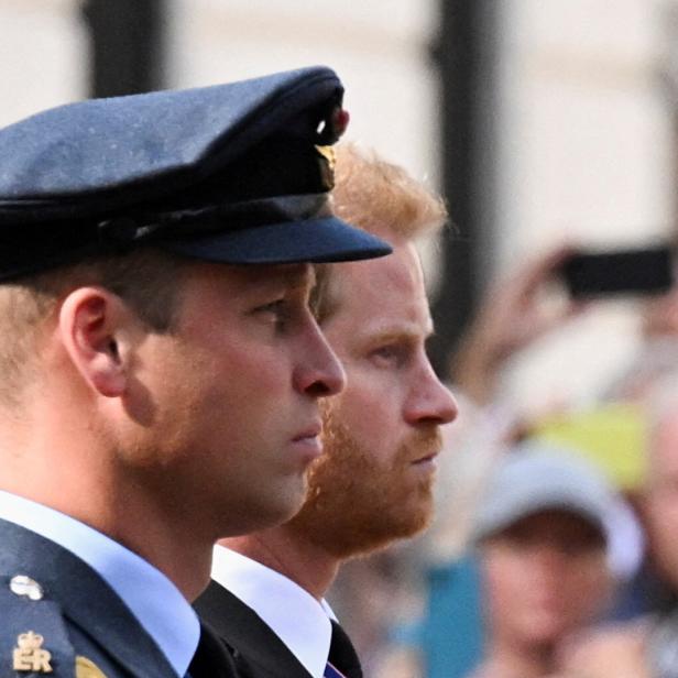 Prinz William in Uniform und Prinz Harry im Profil, umgeben von Zuschauern.