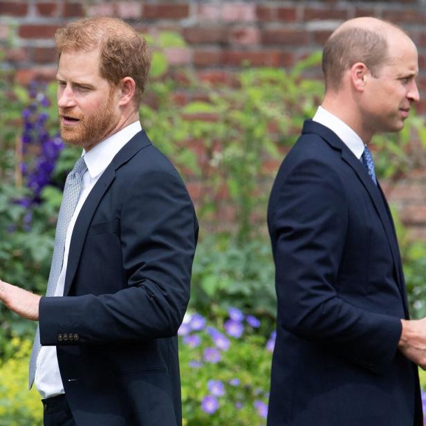 Prinz Harry gestikuliert neben Prinz William vor einem Garten mit Blumen und einer Ziegelmauer.