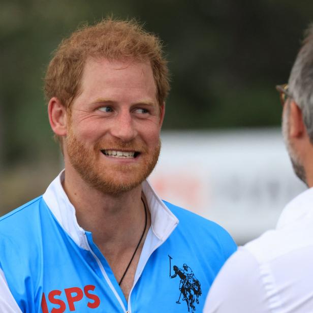 Prinz Harry lächelt in einem hellblauen Poloshirt.