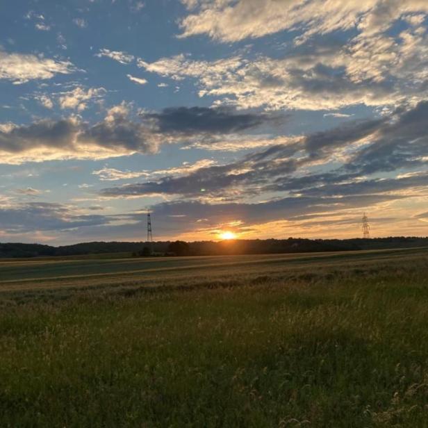 Die Sonne geht über einem Feld mit Gras und Strommasten unter.