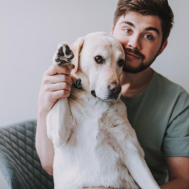 Ein Mann hält einen gelben Labrador im Arm, der seine Pfote hebt.