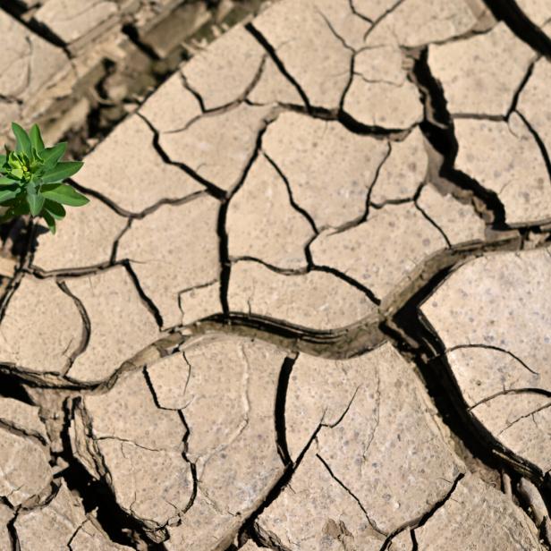 ++ THEMENBILD ++ HITZE / TROCKENHEIT / DÜRRE / KLIMAWANDEL
