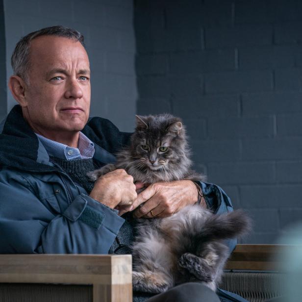 Tom Hanks hält eine graue Katze im Arm.