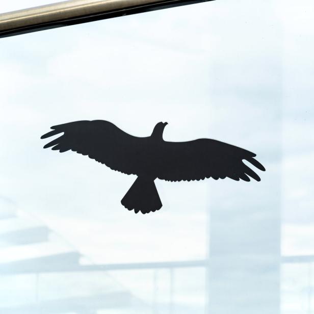 Die Silhouette eines Vogels klebt auf einer Glasscheibe.