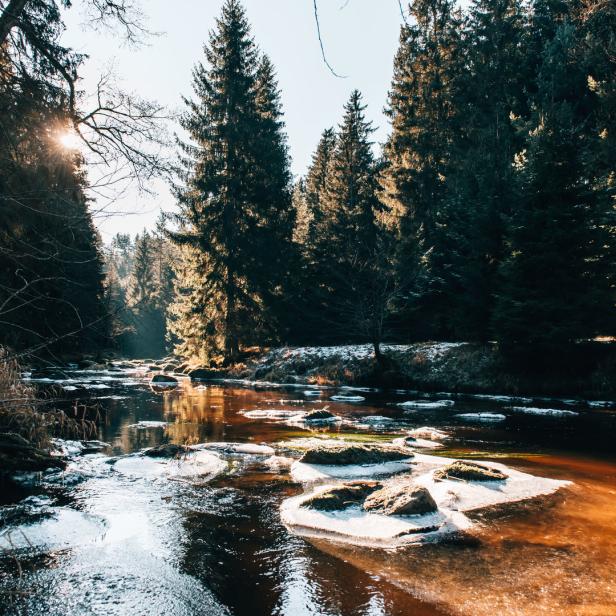 Ein Fluss fließt durch einen winterlichen Wald mit schneebedeckten Ufern.