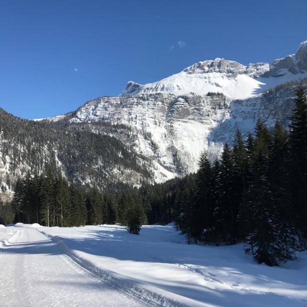 Eine verschneite Landschaft mit einem Berg und einem Wald unter blauem Himmel.