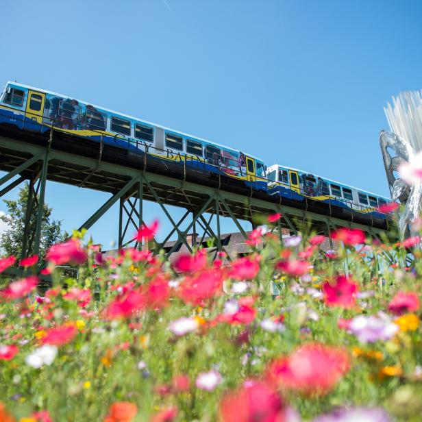 Ein Zug überquert eine Brücke, die hoch über dem Boden schwebt, mit Wolken am Himmel und Blumen auf der Wiese.