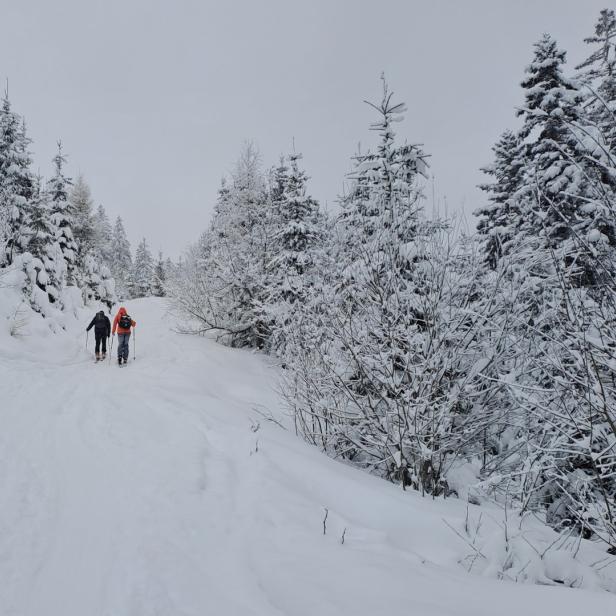Zwei Personen gehen im Winter durch eine verschneite Landschaft.