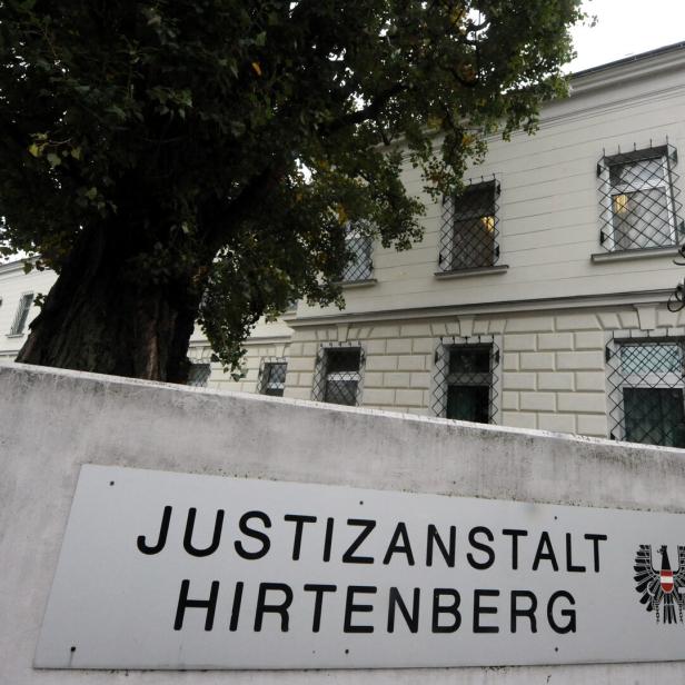 Die Justizanstalt Hirtenberg mit einem Baum im Vordergrund.