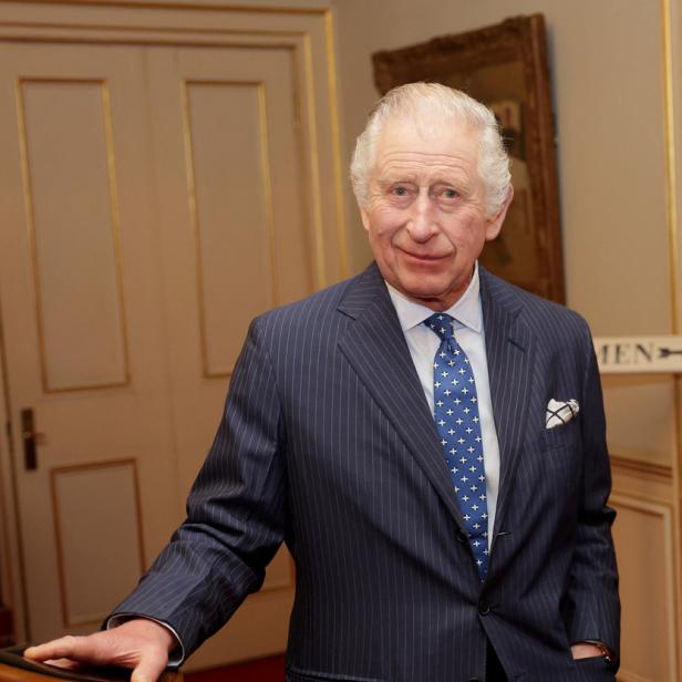 König Charles posiert in einem dunklen Anzug mit Krawatte.
