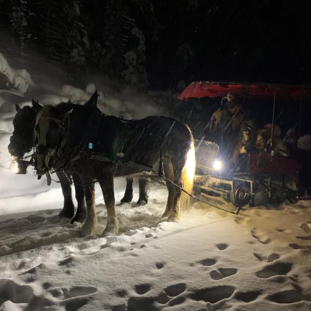 Zwei Pferde ziehen bei Nacht einen Schlitten mit Fahrgästen durch den Schnee.