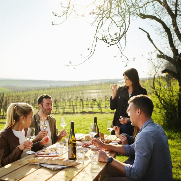 Eine Gruppe von Freunden genießt ein Picknick mit Wein in einem Weinberg.
