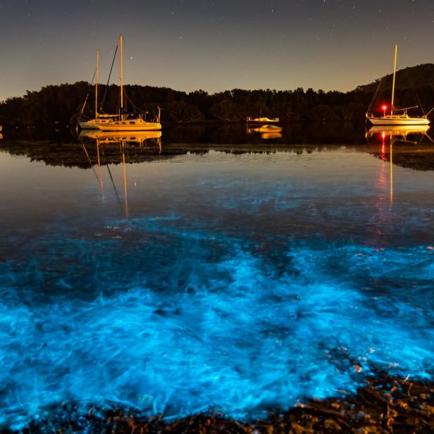 Mehrere Segelboote liegen nachts auf einem See, dessen Wasser durch Biolumineszenz blau leuchtet.