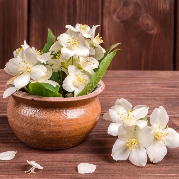 Ein Strauß Jasminblüten in einem rustikalen Topf auf einem Holztisch.