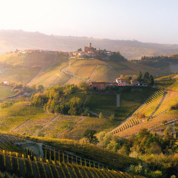 Herbst in der Region Langhe, Piemont, Italien.