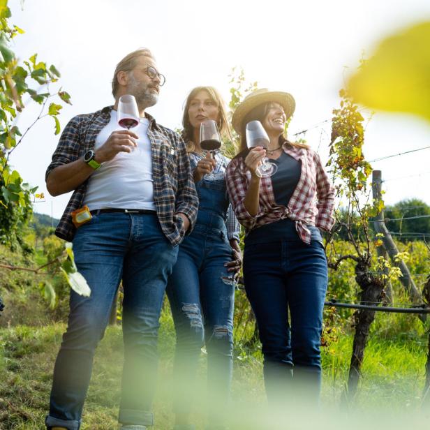 Drei Personen stehen mit Weingläsern in einem Weinberg.