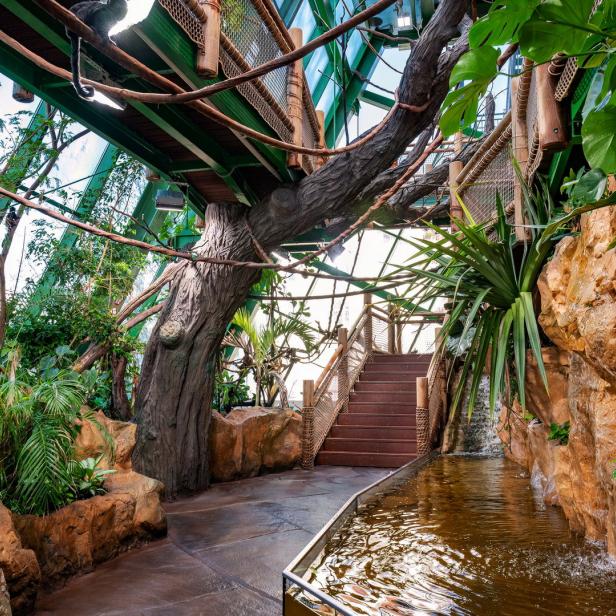 Ein Innenraum mit tropischer Vegetation, einem Wasserlauf und einer Treppe.