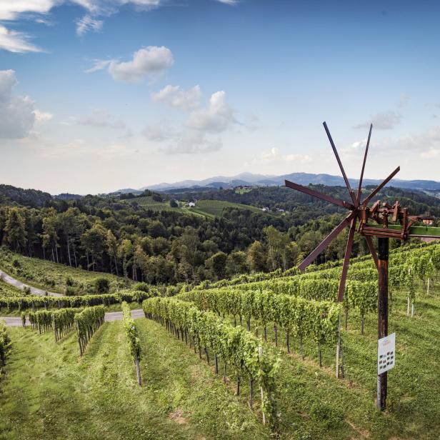 Eine Windrad-Skulptur steht inmitten eines Weinbergs in einer hügeligen Landschaft.