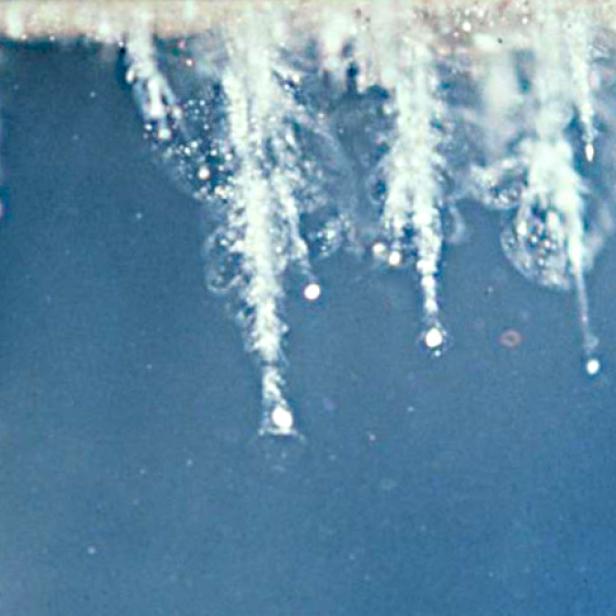 Nahaufnahme von Eiszapfen, die von einer Oberfläche hängen.