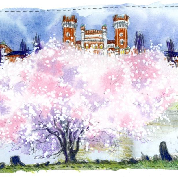 Eine Aquarellzeichnung von blühenden Kirschbäumen vor einem Schloss.