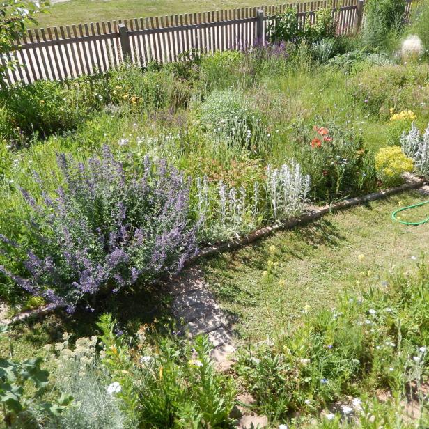 Ein üppiger Garten mit einer Vielzahl von Blumen und Pflanzen hinter einem Holzzaun.