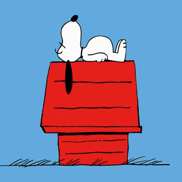 Snoopy liegt auf seiner roten Hundehütte.