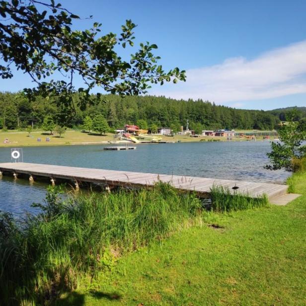 Ein Steg ragt in einen See mit einem bewaldeten Ufer im Hintergrund.