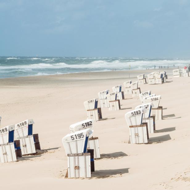 Viele Strandkörbe stehen am Sandstrand unter einem bewölkten Himmel.