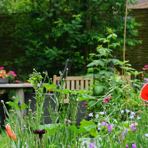Ein blühender Garten mit Mohnblumen und anderen Blumen im Vordergrund, im Hintergrund eine Sitzecke.