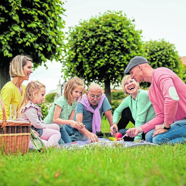 Eine Familie genießt ein Picknick im Grünen.