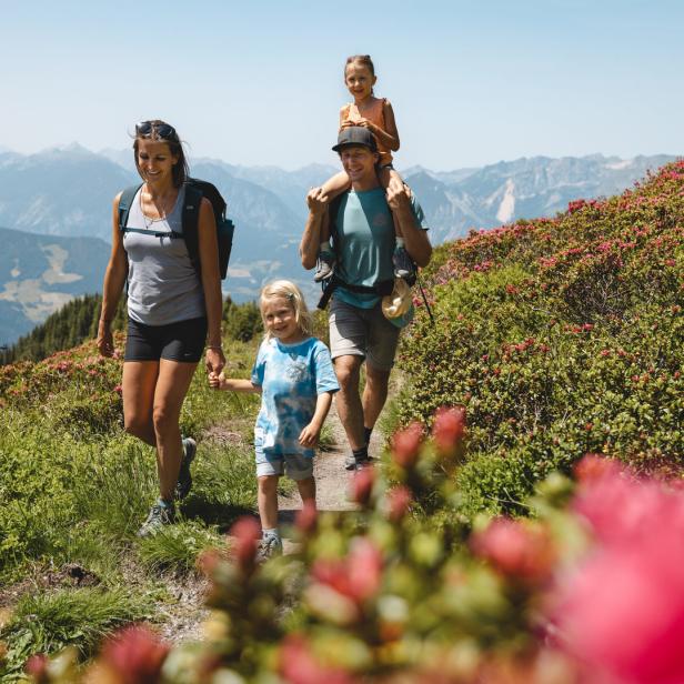 Eine Familie wandert auf einem Bergpfad mit blühenden Alpenrosen.