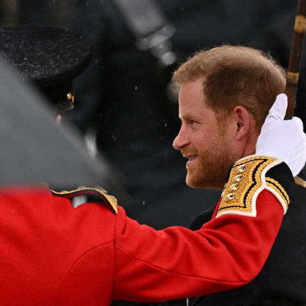 Prinz Harry in Uniform wird von einem Gardisten begrüßt.